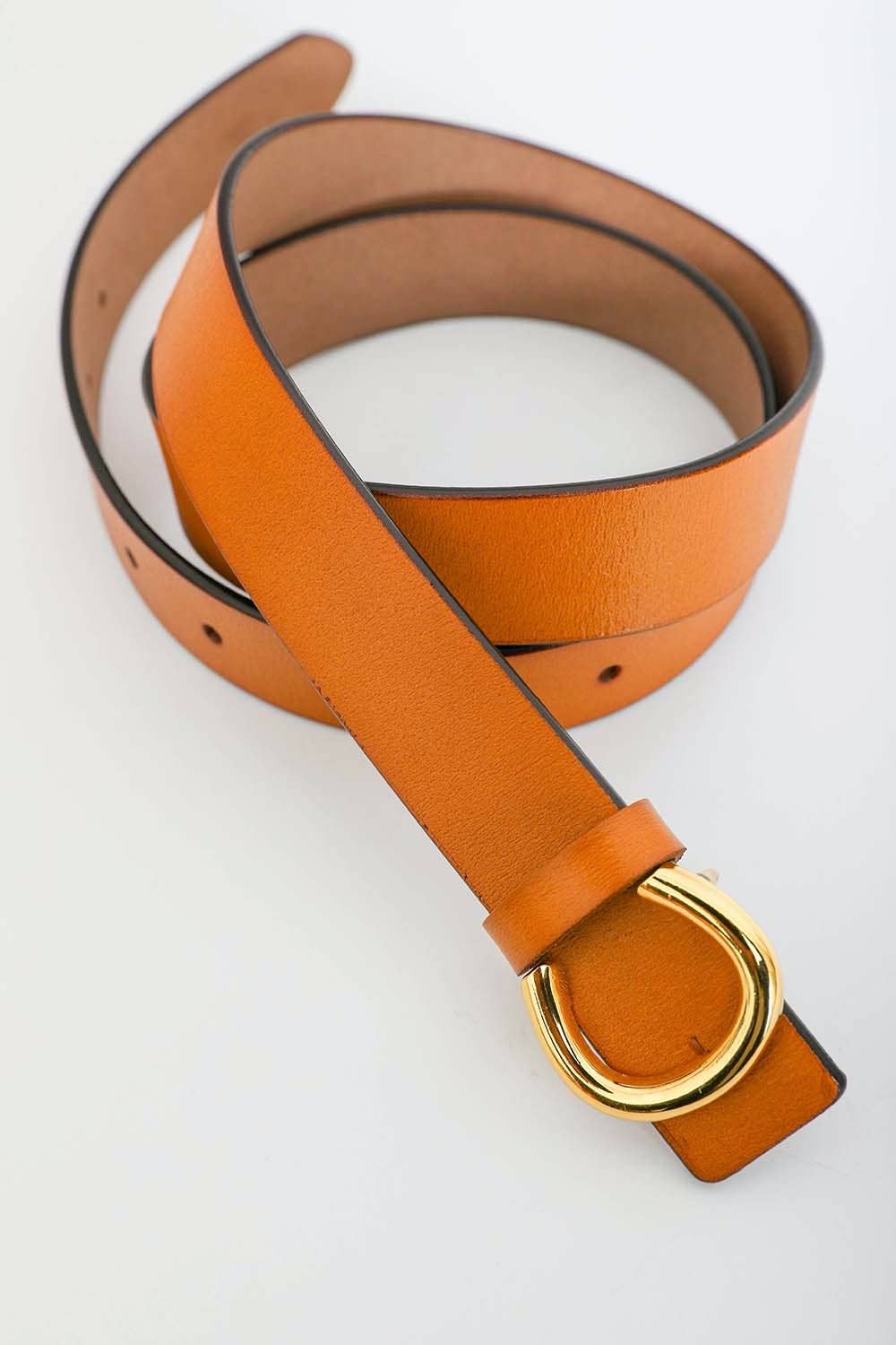Minimalist Gold Horseshoe Belt - Top Seller