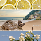 Coastal Lemon Reed Diffuser | Sweet Water Decor