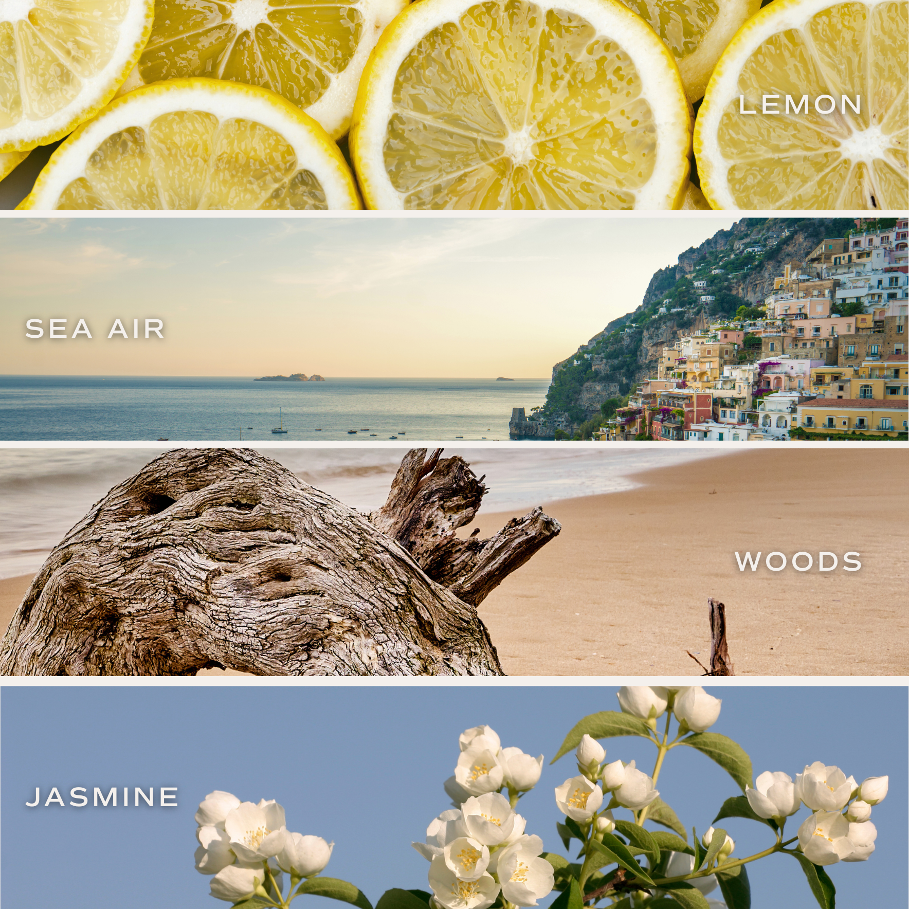 Coastal Lemon Reed Diffuser | Sweet Water Decor