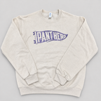 Panthers Pennant Crewneck Sweatshirt & Tee