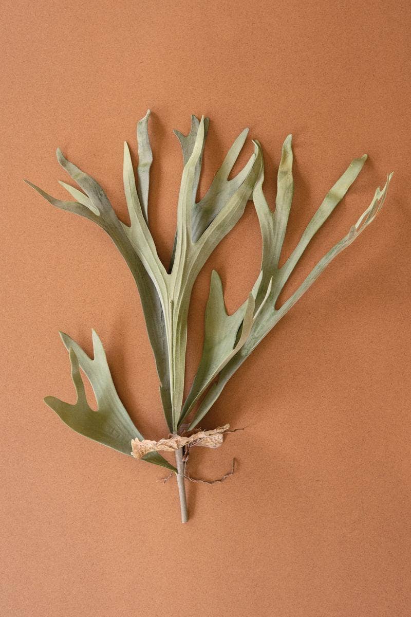 ARTIFICIAL STAGHORN FERN STEM