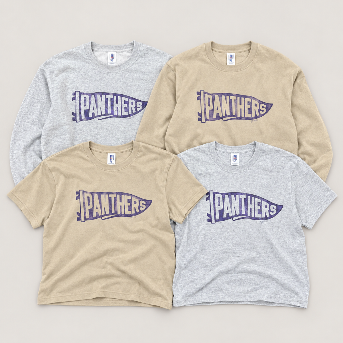 Panthers Pennant Crewneck Sweatshirt & Tee