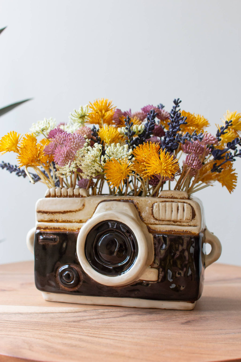 Vintage Ceramic Camera Planter