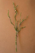 BOTANICA #9028