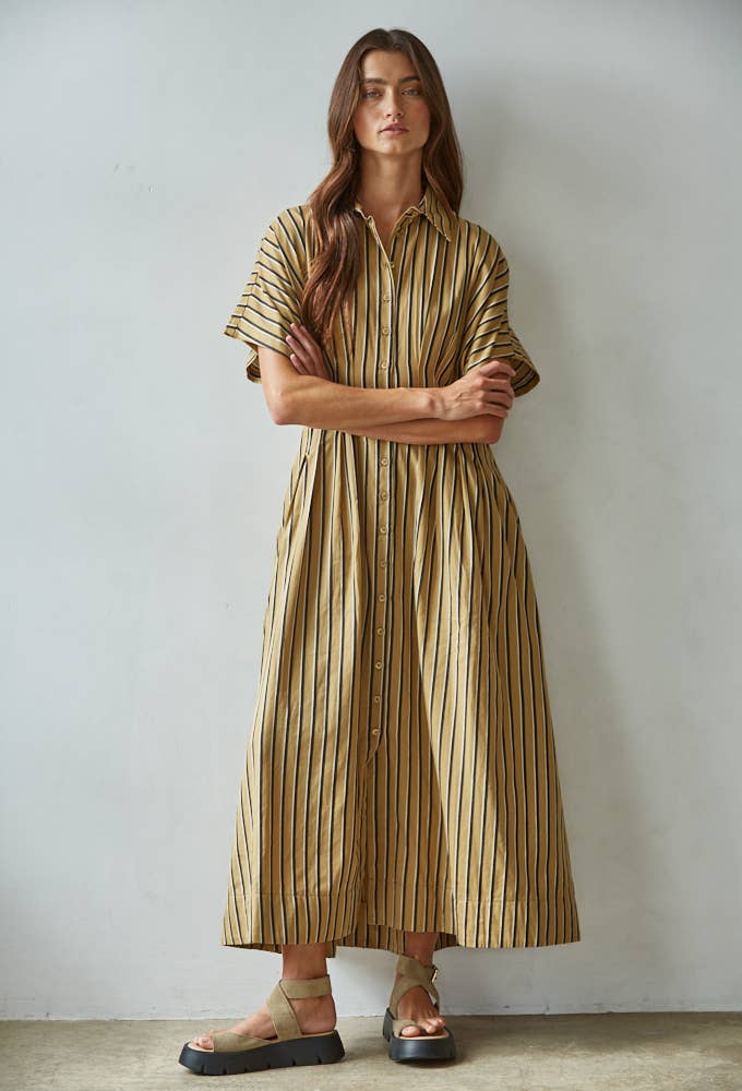 Striped Button-Down Flare Dress