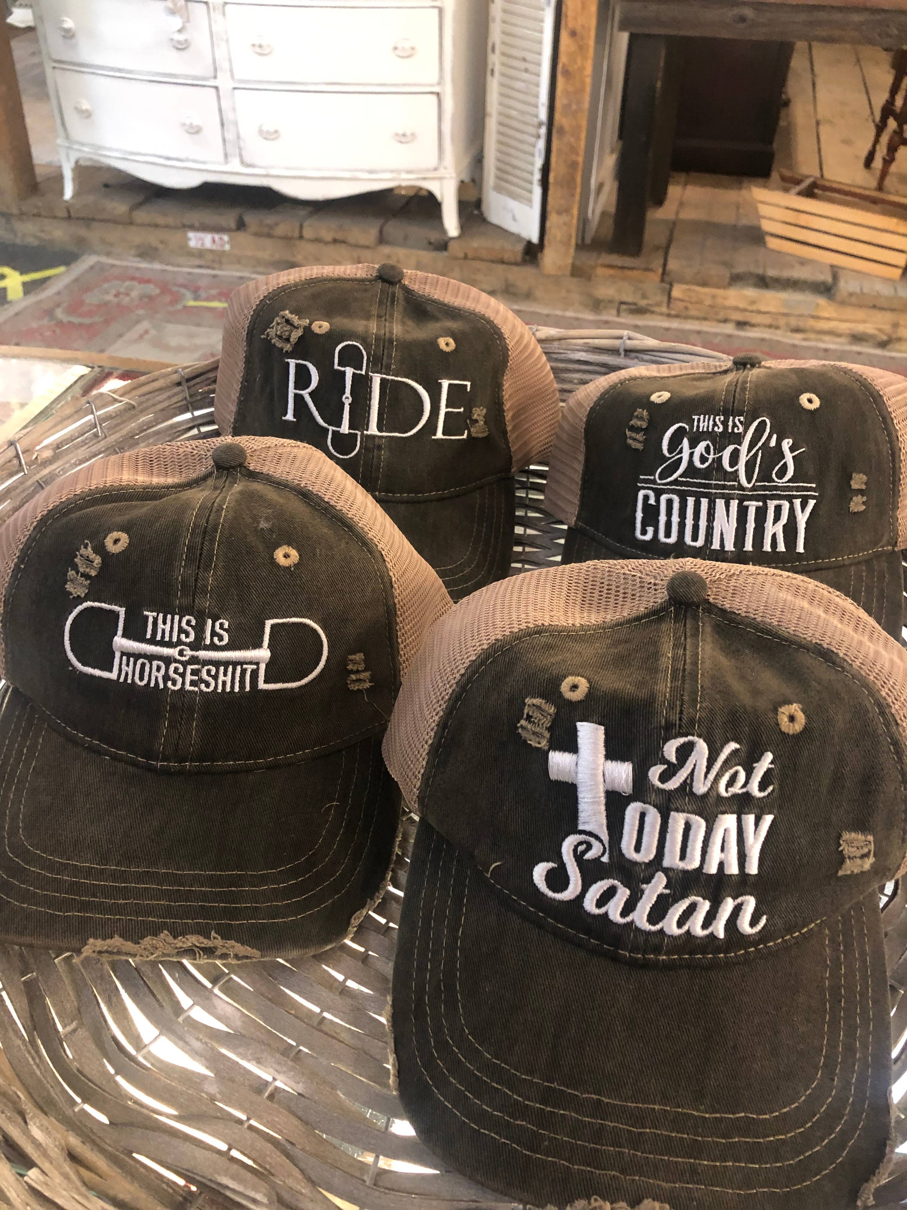 This is HorseShit Distressed Trucker Baseball Cap