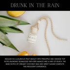 Summer Car Diffusers
