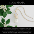 SPRING CAR DIFFUSER