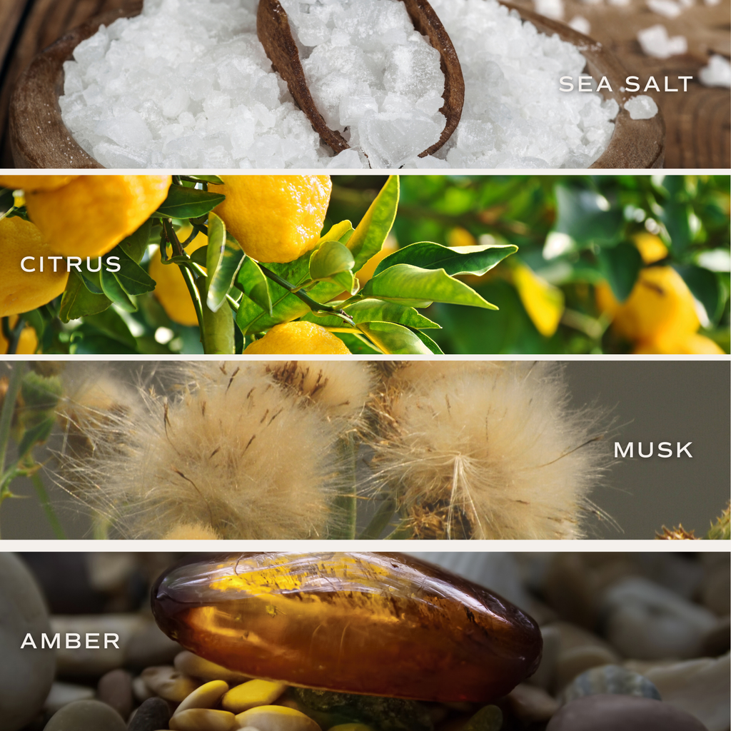 Salt & Sea Reed Diffuser - Coastal Citrus Home Fragrance