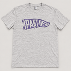 Panthers Pennant Crewneck Sweatshirt & Tee