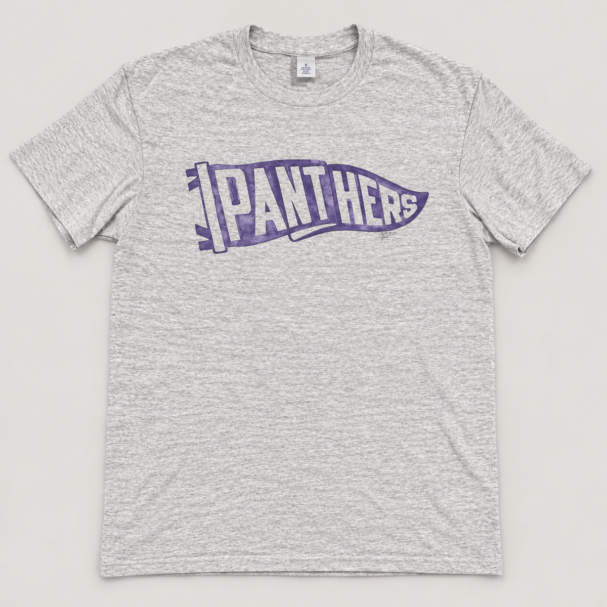 Panthers Pennant Crewneck Sweatshirt & Tee