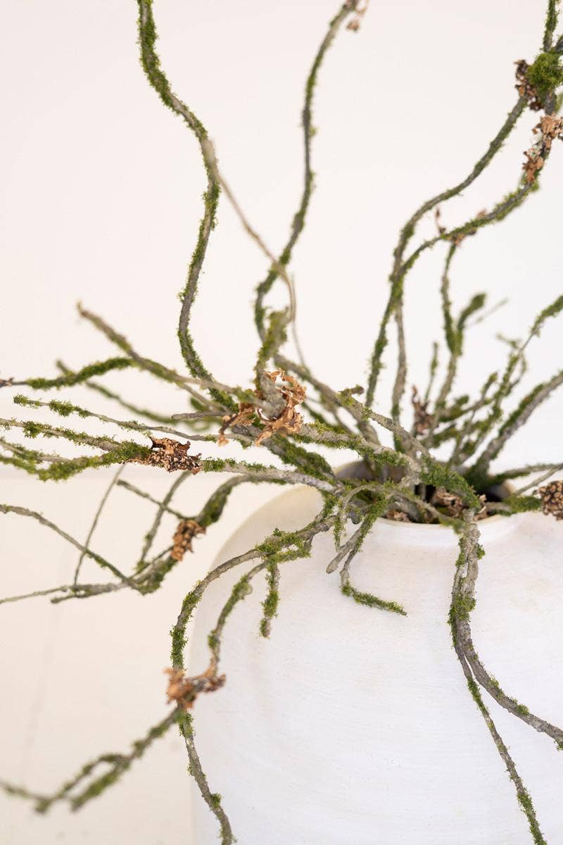 BOTANICA #9028