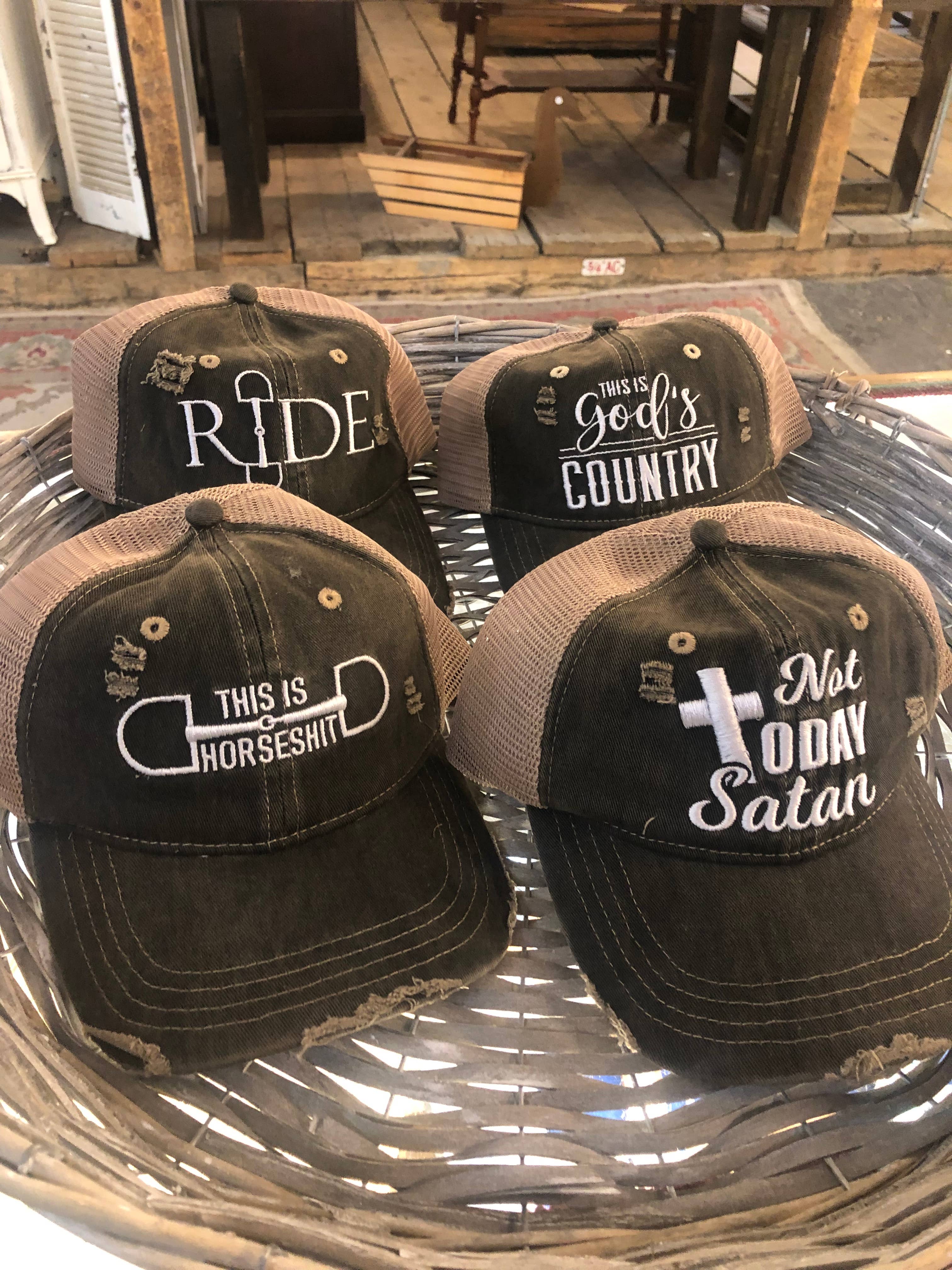 This is HorseShit Distressed Trucker Baseball Cap