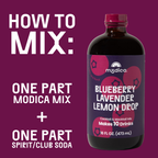 Blueberry Lavender Lemon Drop Cocktail & Mocktail Mix + Kit